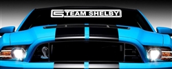 Team Shelby Windshield Decal