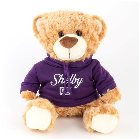 Teddy Bear with Purple Shelby Hoody