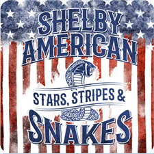 Shelby Stars & Stripes Metal Sign
