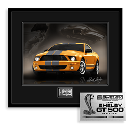 2007-2009 Shelby GT500  Owner's Edition