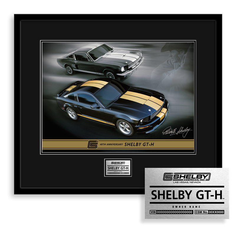 2006-2007 Shelby GT-H Hertz  Owner's Edition