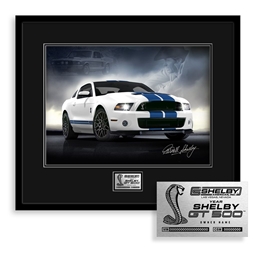 2011-2014 Shelby GT500  Owner's Edition- Coupe