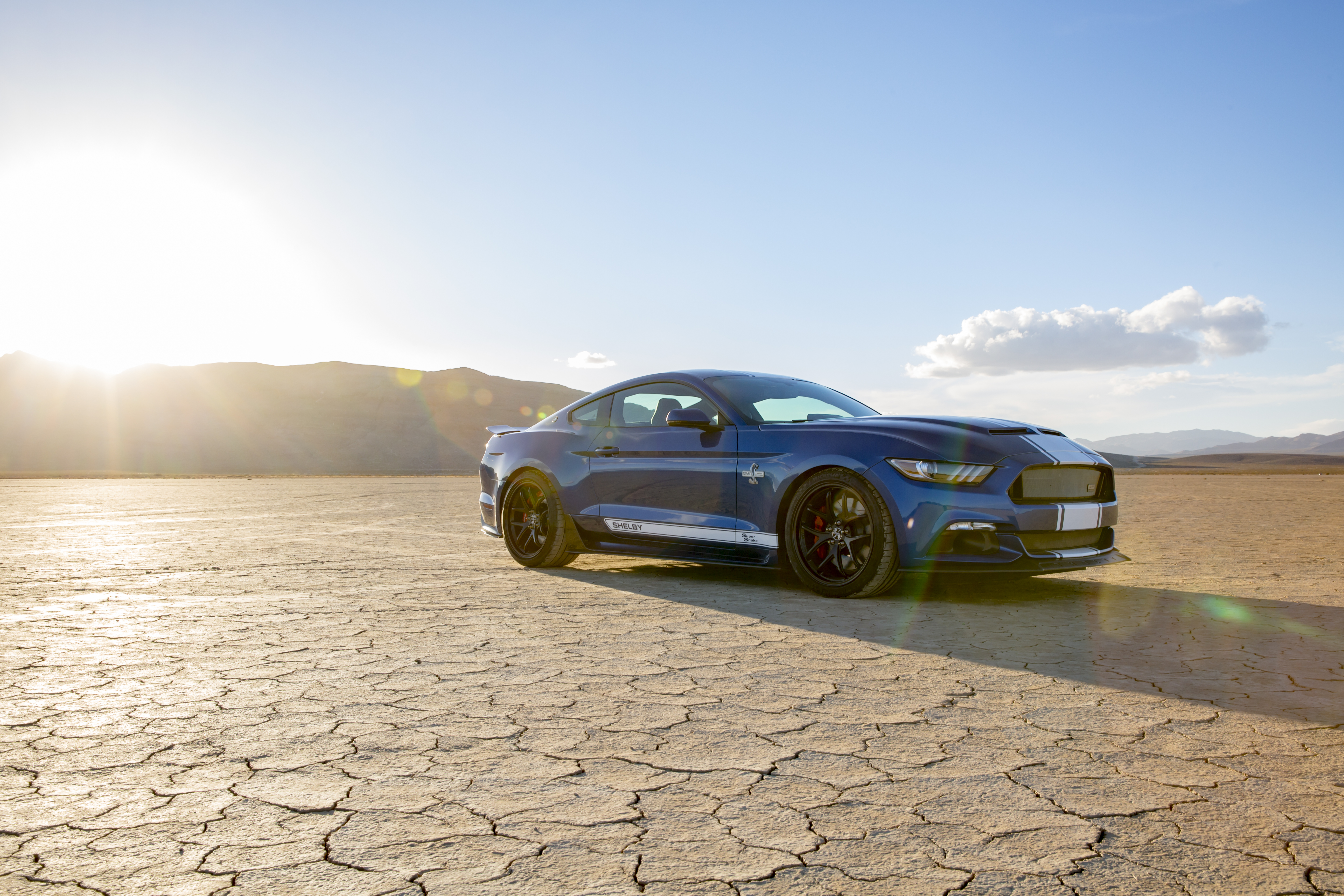 Blue Shelby Super Snake in desert