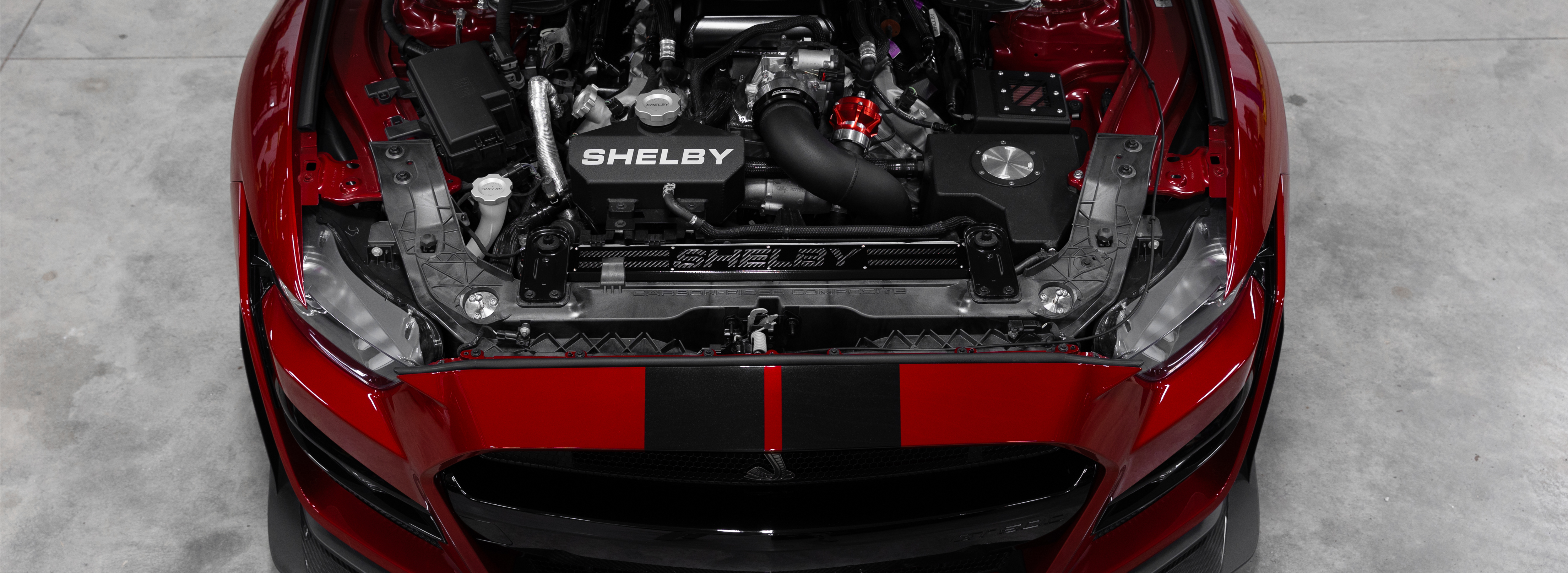2015-2022 Shelby GT350/GT500 Radiator Cover - Carbon Fiber Insert