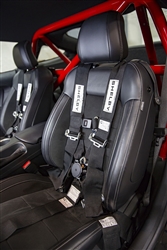 Shelby 5-point Harness
