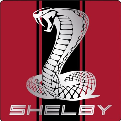 Shelby Super Snake 2D Square Magnet - Red/Blk