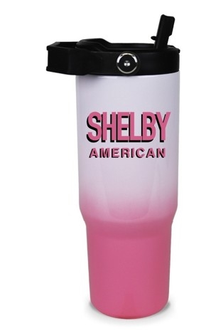 Shelby 30oz Ombre Steel Tumbler- Pink