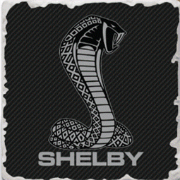 Shelby Carbon Fiber Coaster