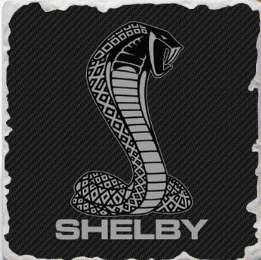 Shelby Carbon Fiber Coaster