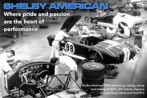 Shelby Pride and Passion Postcard