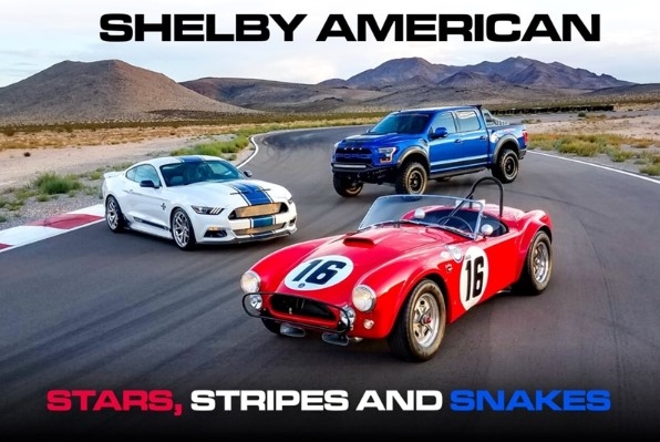 Shelby Stars, Stripes & Snakes Postcard
