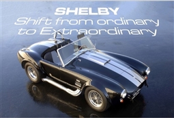 Shelby Shift from Ordinary Postcard
