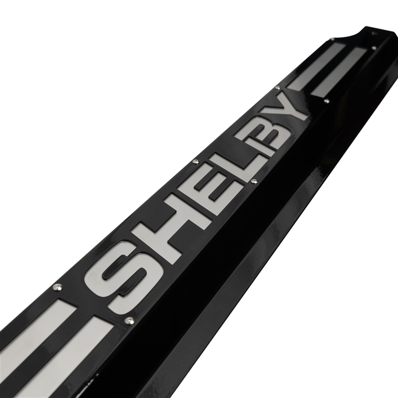 2015-2022 Shelby GT350/GT500 Radiator Cover - Stainless Insert