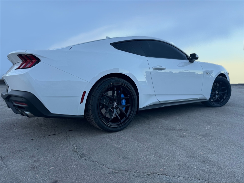 2005-2026 Shelby Mustang 50th Anniversary Wheel - 20