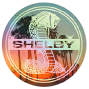 Shelby Tiffany Palm Sunset Holographic Sticker