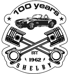 Shelby Pistons 100YRS  Metal Sign
