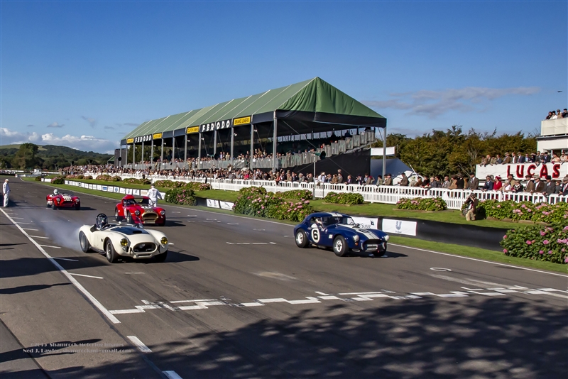 Shelby Goodwood Burnout  Vinyl Banner