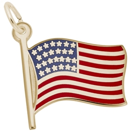 American Flag- GOLD or SILVER
