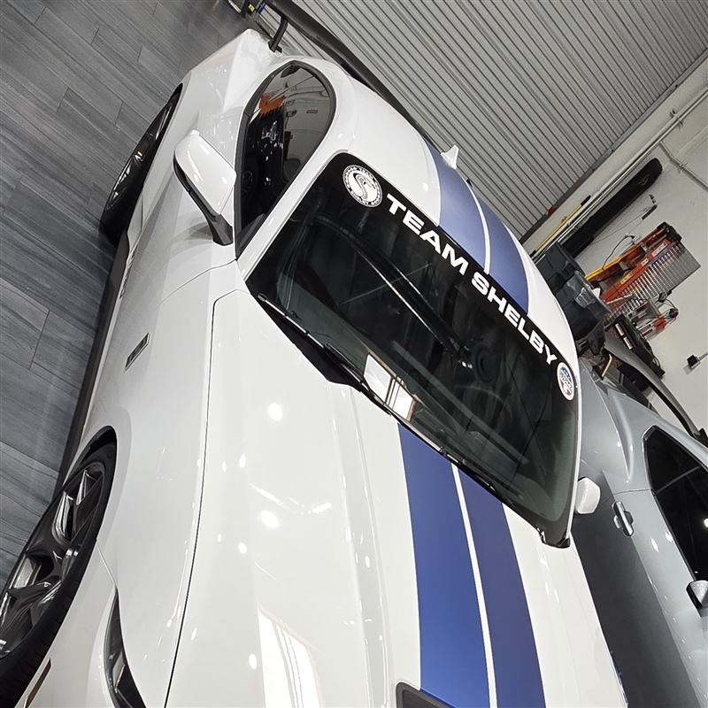 Ford Mustang Gt Windshield Banner Decal Sticker | Custom Made In the