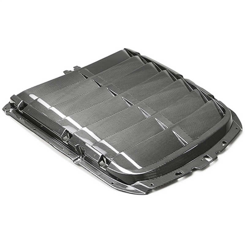 2020-22 GT500 CARBON FIBER HOOD VENT KIT
