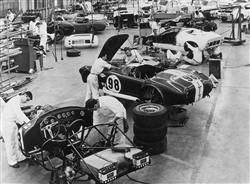 Shelby Cobra Sports Cars Archival Paper