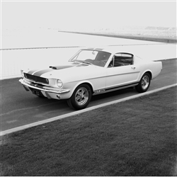 1964 First Shelby Mustang GT350 Archival Paper