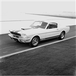 1964 First Shelby Mustang GT350 Framed Print with Double Mat