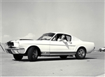 1964 First Shelby Mustang GT350 (with girl)  Archival Paper