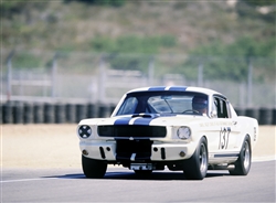 1965 Shelby GT350R Archival Paper