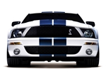 2008 White Shelby GT500 Archival Paper