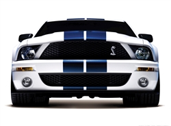 2008 White Shelby GT500 Framed Print with Double Mat