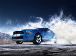 2010 Shelby GT500 Archival Paper