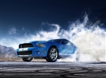 2010 Shelby GT500 Canvas Art