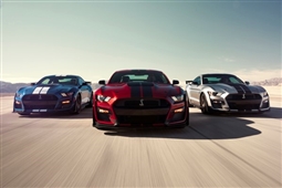 Shelby GT500  3 Mustangs Front - Archival Paper