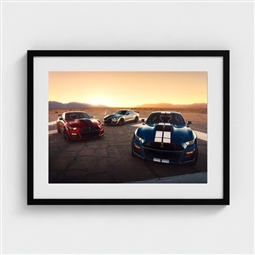 Shelby GT500 Mustangs Sunrise Framed Print