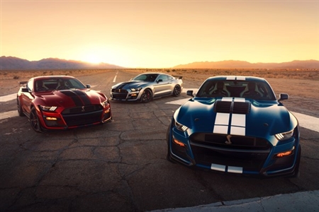 Shelby GT500 Mustangs Sunrise Framed Print with Double Mat