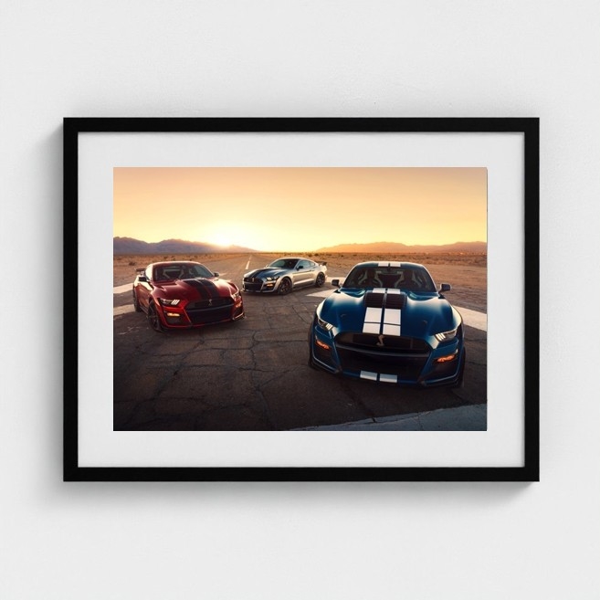 Shelby GT500 Mustangs Sunrise Framed Print