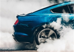 Shelby Blue Mustang Smoke-out- Archival Paper