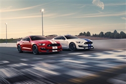 Shelby Red  & White Mustangs  - Archival Paper