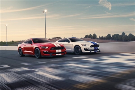 Shelby Red  & White Mustangs  - Archival Paper