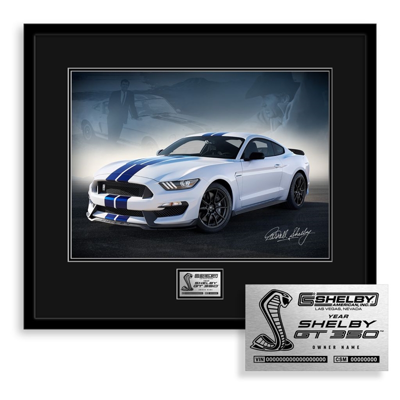 thumbnail image 2 of Brushed Stainless Steel Dead Pedal Trim – Fits 2015-2020 Shelby GT350 GT500 Roush 2 of 6