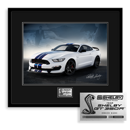 2015-2020 Shelby GT350R  Owner's Edition