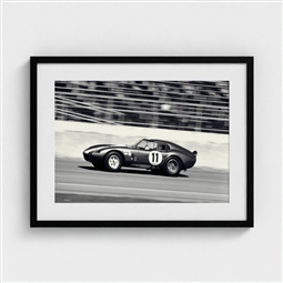 Shelby Daytona # 11 Framed Print
