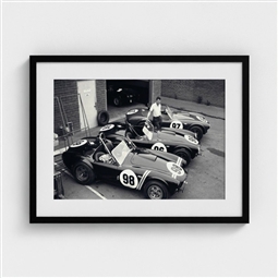 Shelby Cobras & Carroll Framed Print