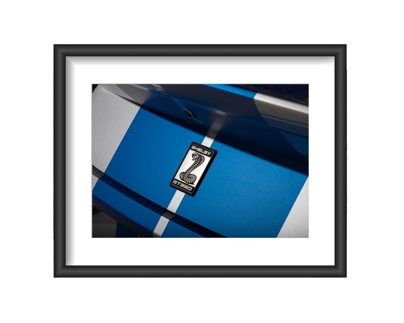 Shelby White GT350 Trunk Emblem Framed Print