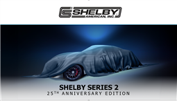 Team Shelby Naples Automotive Experience